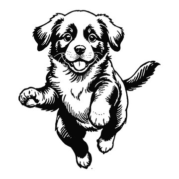 recommend clip art: Newfoundland Dog Puppy Hand Drawn Engraved Ink Line Art Sketch Illustration