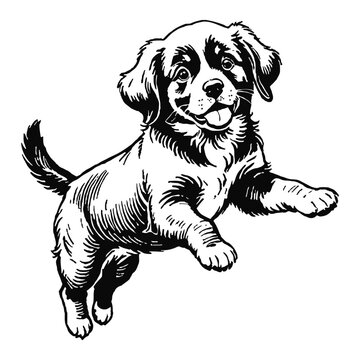 recommend clip art: Newfoundland Dog Puppy Hand Drawn Engraved Ink Line Art Sketch Illustration