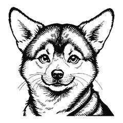 Japanese Shiba Inu Dog Puppy Hand Drawn Engraved Ink Line Art Sketch Illustration