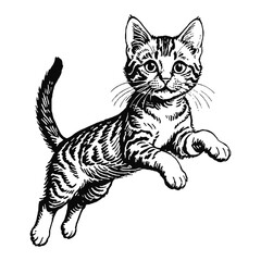 Fototapeta premium Wild Bengal Cat Kitten Hand Drawn Engraved Ink Line Art Sketch Illustration