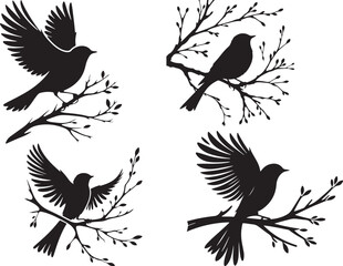 bird  silhouette white background 