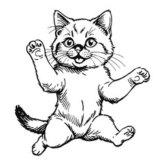 Obraz premium Birman Cat Kitten Hand Drawn Engraved Ink Line Art Sketch Illustration