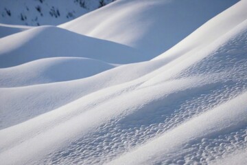 Obraz premium snow on the snow