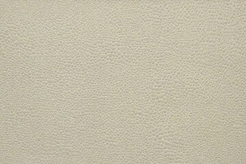 Fototapeta premium leather background