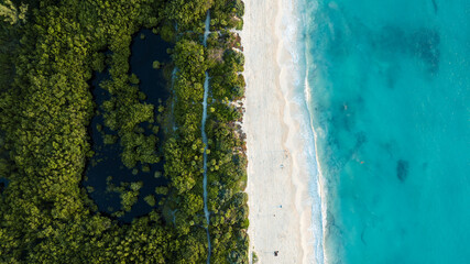 Playa y Mangle