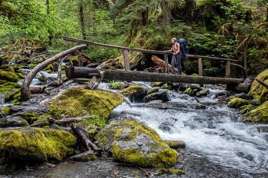 Woman carrying backpack crossing wooden bridge over the Quinault River, Olympic National Park, Washington, USA. June, 2022. Model released. 
