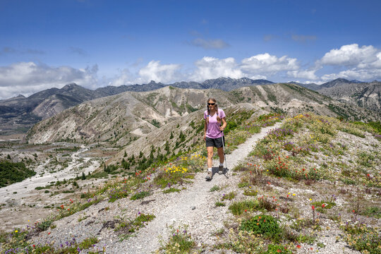 Woman day hiking on Trail 216D above the Pumus Plains on a sunny day, Mount St Helens National Volcanic Monument, Cascade Mountains, Washington, USA. July, 2022. Model released. 
