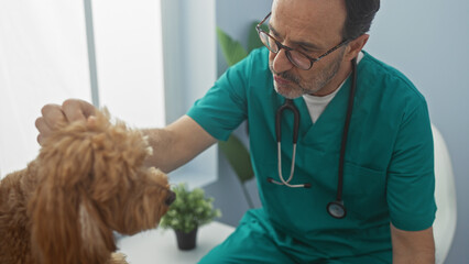 Hispanic veterinarian man examines poodle in clinic room