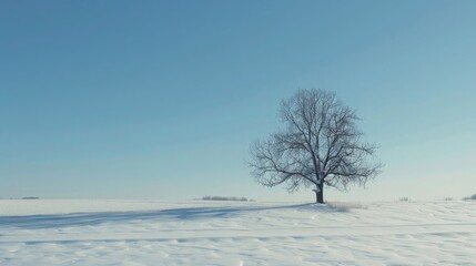 A serene winter landscape with a lone tree in a snow-covered field and a clear sky. Simple and peaceful rural scene.