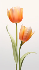 Tulips, Mother's Day theme