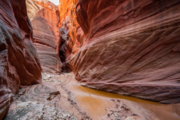 Buckskin Gulch slot canyon in Utah with sun highlighting canyon