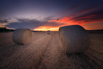 Straw bales scattered in a mown cereal field with a dramatic sunset over them in Saldaña, Palencia