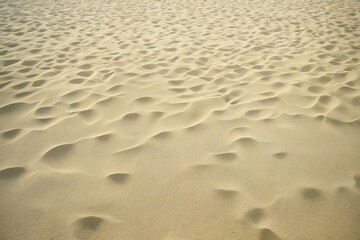 Background and Texture