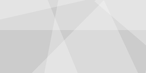 Fototapeta premium White and grey triangle lines and technology modern background. Abstract geometric smooth triangle shape with soft shadow background, template and banner design. Vector illustration.