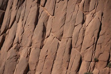 Fototapeta premium stone wall texture