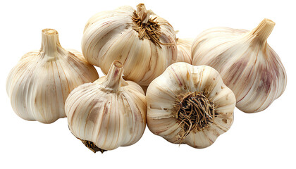 Fresh organic garlic bulbs.