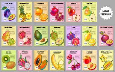 Big set of templates with local and exotic fruits for your product. Colorful fruit labels, posters, covers, price tags, packaging and more. Cartoon style. Vector illustration.