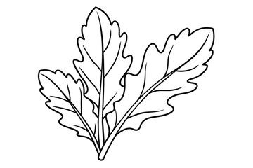 Arugula leaves line art vector illustration