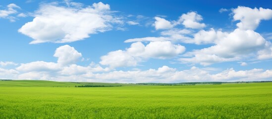 Scenic landscape with a vast green field under a clear blue sky with fluffy white clouds, ideal for a copy space image.