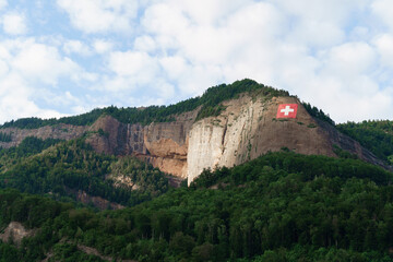 Swiss flag on forested hillside, Vitznau, Switzerland