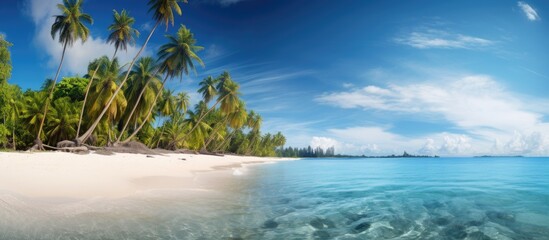 Stunning tropical beach scenery with sandy shores, coconut trees, ideal for tourist vacation concepts, featuring an incredible beach landscape in the wide copy space image.