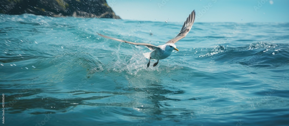 Aufkleber a seabird is diving in the water to catch food with a scenic copy space image.