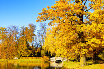 Beautiful sunny autumn landscape with yellow and orange trees and pathway in Alexander park,...