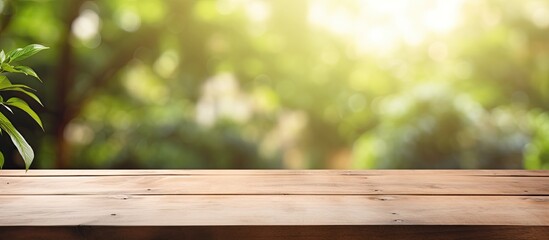 Blurry natural background behind a table with copy space image.
