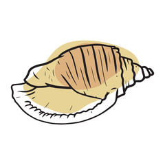 illustration of hand drawn seashell, black outline isolated vector illustration on white background, colored in beige