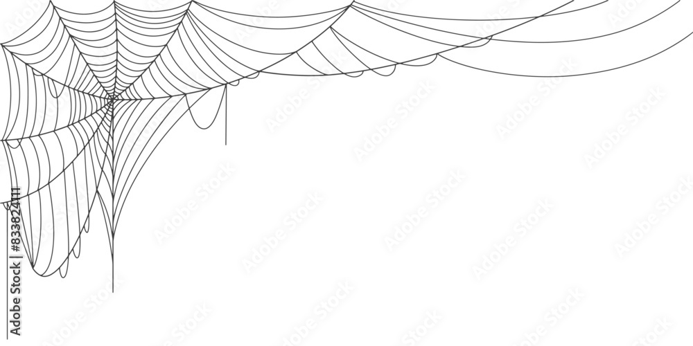 Canvas Prints spider web line art vector