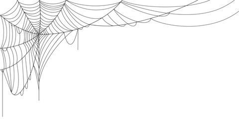 Spider web line art vector