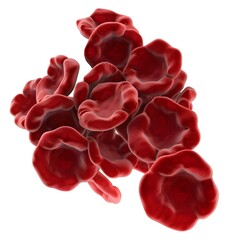 Detailed of Red Blood Cells Involved in Coagulation Process on White Background