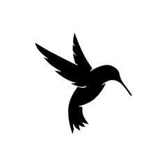 bird Vector