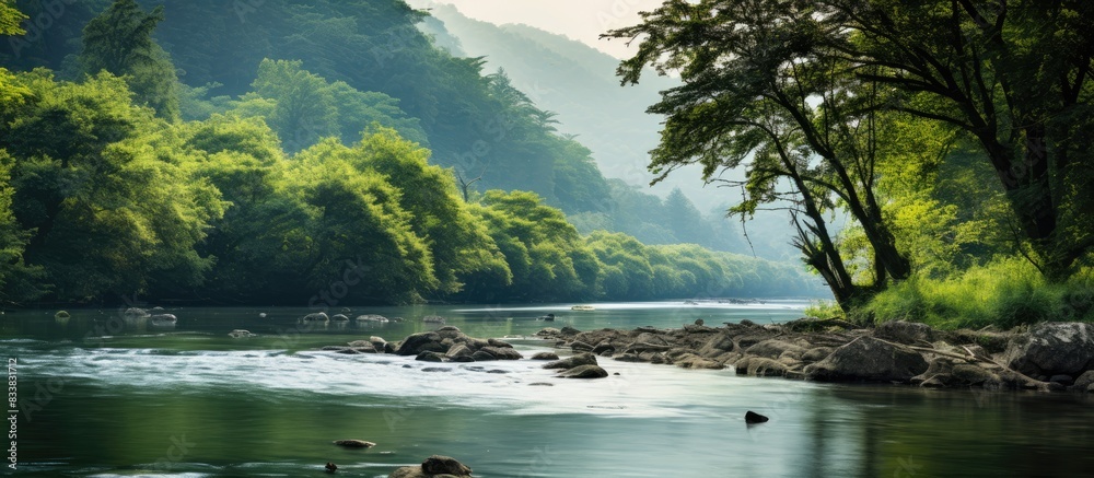 Poster Scenic view of a river with a lush forest in the backdrop, ideal for a copy space image.