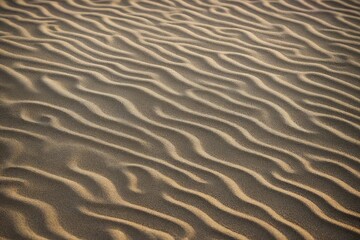 Fototapeta premium ripples in the sand