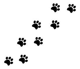 Fototapeta premium Running paw prints in black, isolated 
