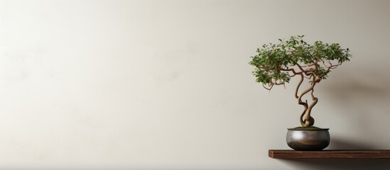 A small decorated tree in a hanging pot is displayed on the wall, creating an elegant and visually appealing copy space image.