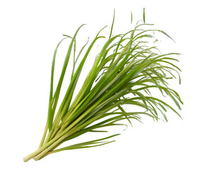Fototapeta premium Lemon grass slice on a transparent background herb for good health by Ai generative.