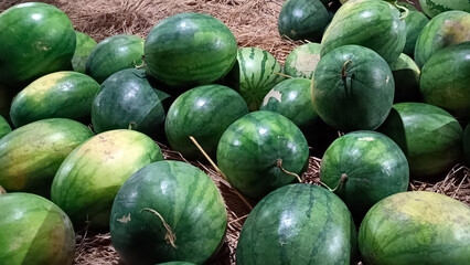 Watermelon that is ripe and ready to sell