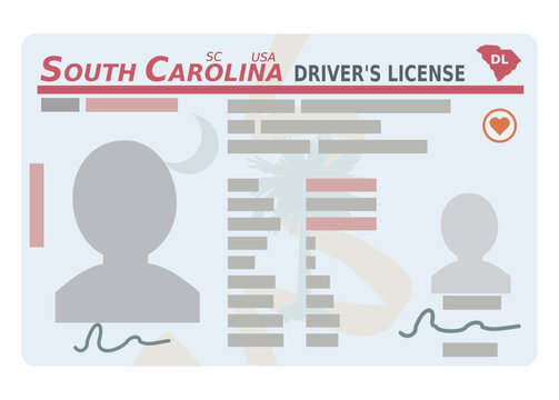 Driver's license from the US state of South Carolina in flat design style (cut out)