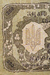 Vintage elements of old paper banknotes.Bonistics.Ukraine 250 hryvnia 1918.Fragment  banknote for design purpose.