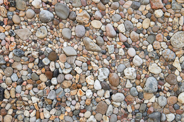 Stylized road pavement with colorful pebble and shells in concrete