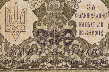 Obraz premium Vintage elements of old paper banknotes.Bonistics.Ukraine 250 hryvnia 1918.Fragment banknote for design purpose.