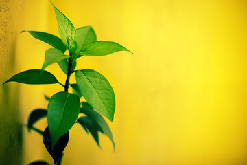 Obraz premium Vibrant green plant with fresh leaves against bold yellow background
