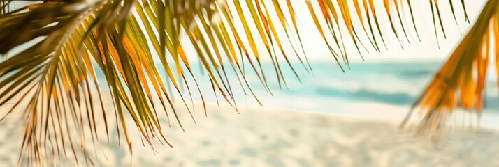 Palm fronds frame tropical beach