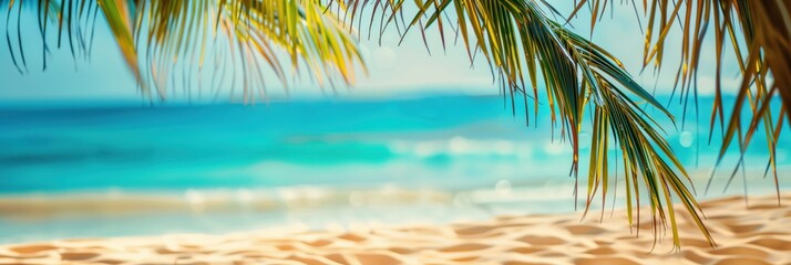 Palm fronds frame paradise beach