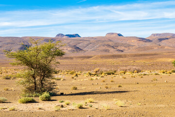 High peaks and desert arid landscape between Agdz and Tazzarine towns in Atlas Mountains, Morocco, North Africa