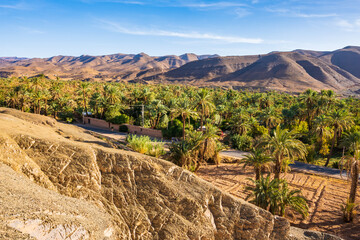 Palm trees in green oasis and view from Tamnougalt kasbah castle in Atlas Mountains, Morocco, North...