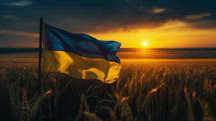 Ukrainian flag on a wheat field against the sunset sky. Will and freedom, atmospheric sky