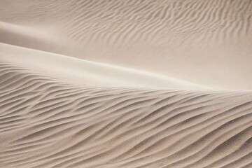 Obraz premium sand ripples in the sand
